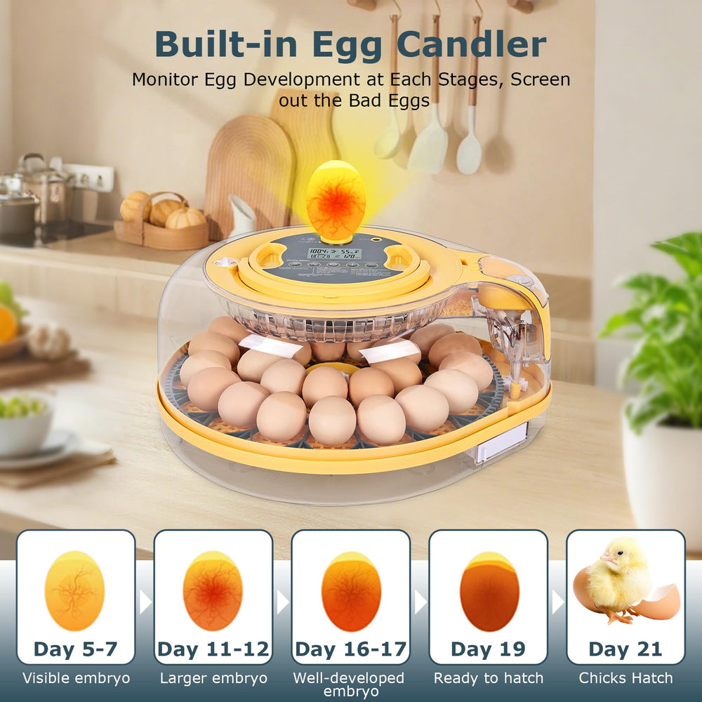 back view of innhom Egg Incubator