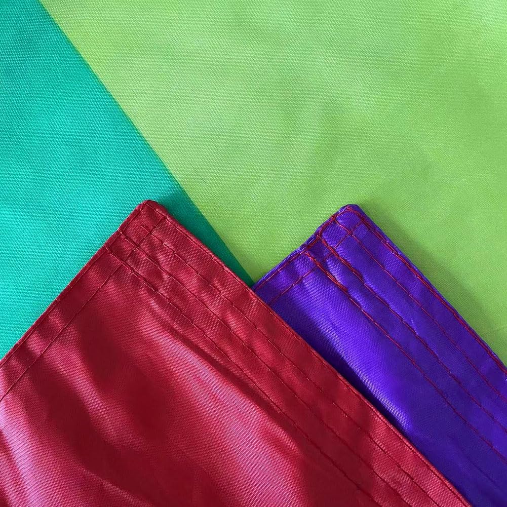Back view of Jayus Double Sided Rainbow Flag