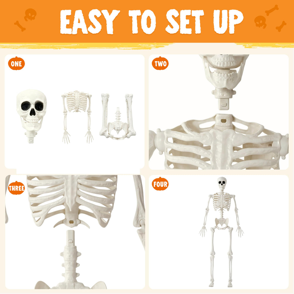 Back view of JOYIN 5 FT Halloween Skeleton
