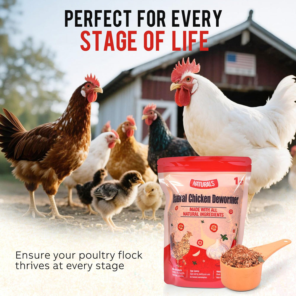 Back view of Jqely Chicken Dewormer Powder packaging
