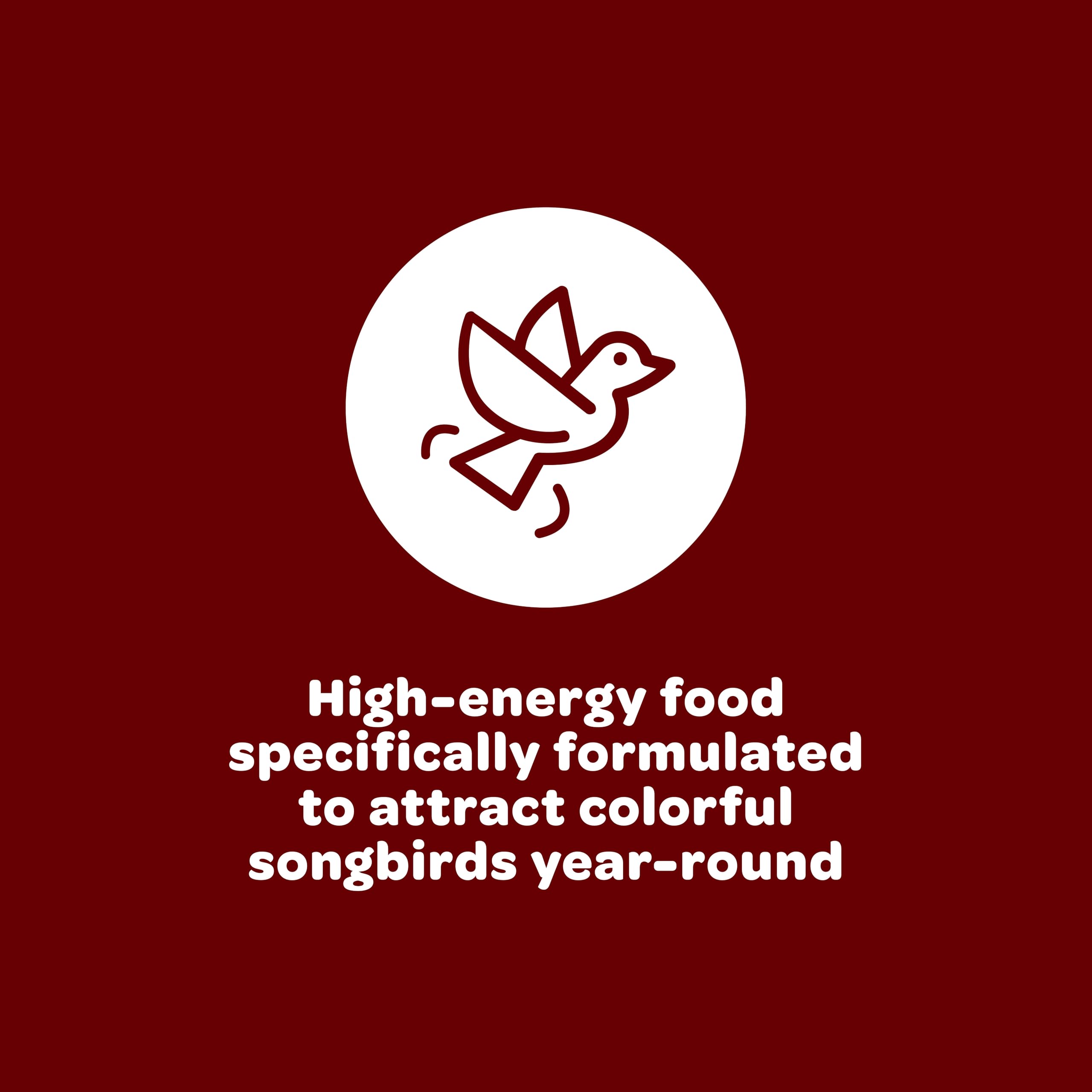 Back view of Kaytee Songbird Blend Bird Seed packaging