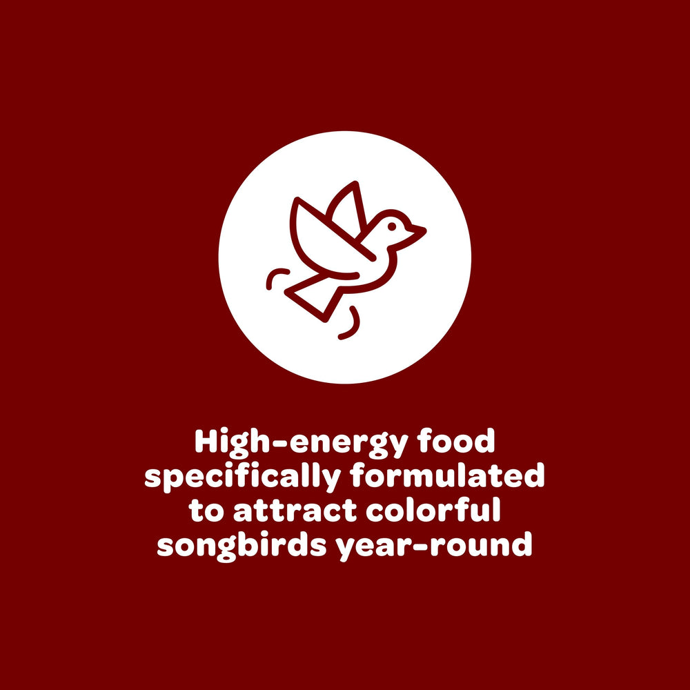 Back view of Kaytee Songbird Blend Bird Seed packaging