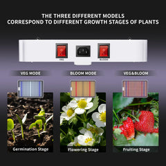 Back view of KINGPLUS KP1500 grow light with fan