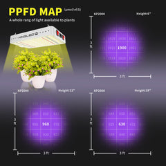 Back view of KINGPLUS KP2000 LED Grow Light showing cooling fans