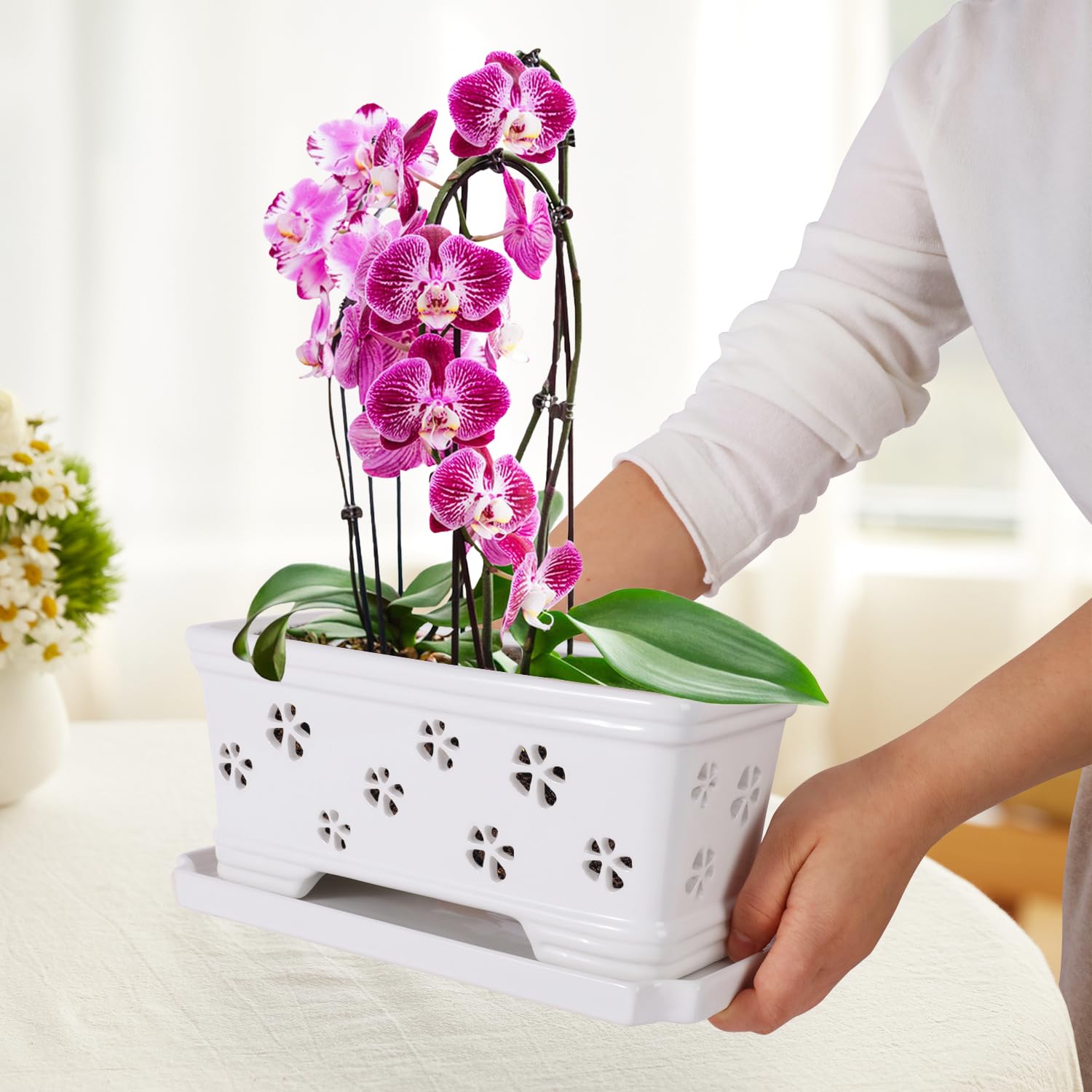 Back view of Lovely Ran 10 Inch Orchid Pot