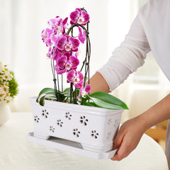 Back view of Lovely Ran 10 Inch Orchid Pot
