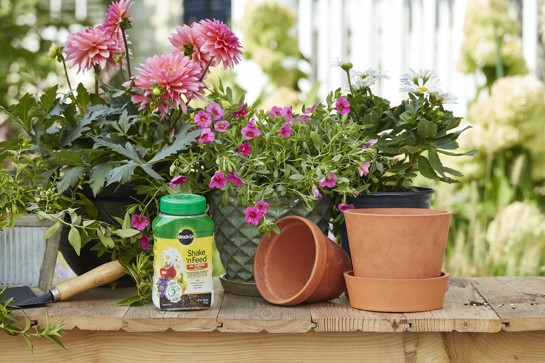 Back view of Miracle-Gro Shake 'N Feed showing ingredients