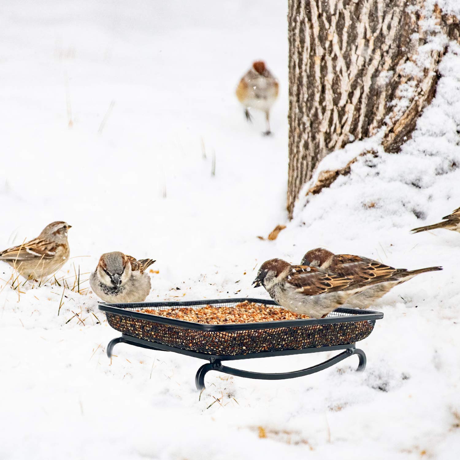 Back view of MIXXIDEA Ground Bird Feeder