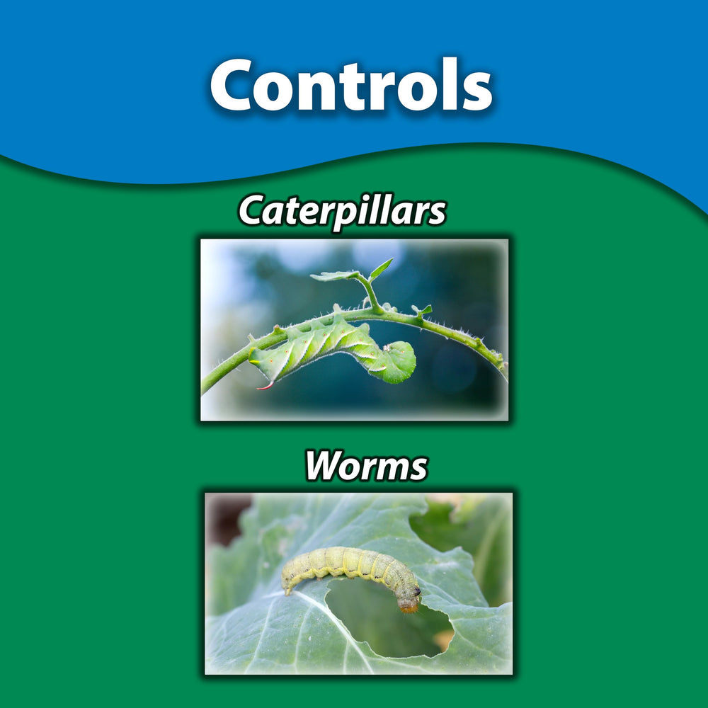 Back view of Monterey B.t. Caterpillar & Worm Killer packaging