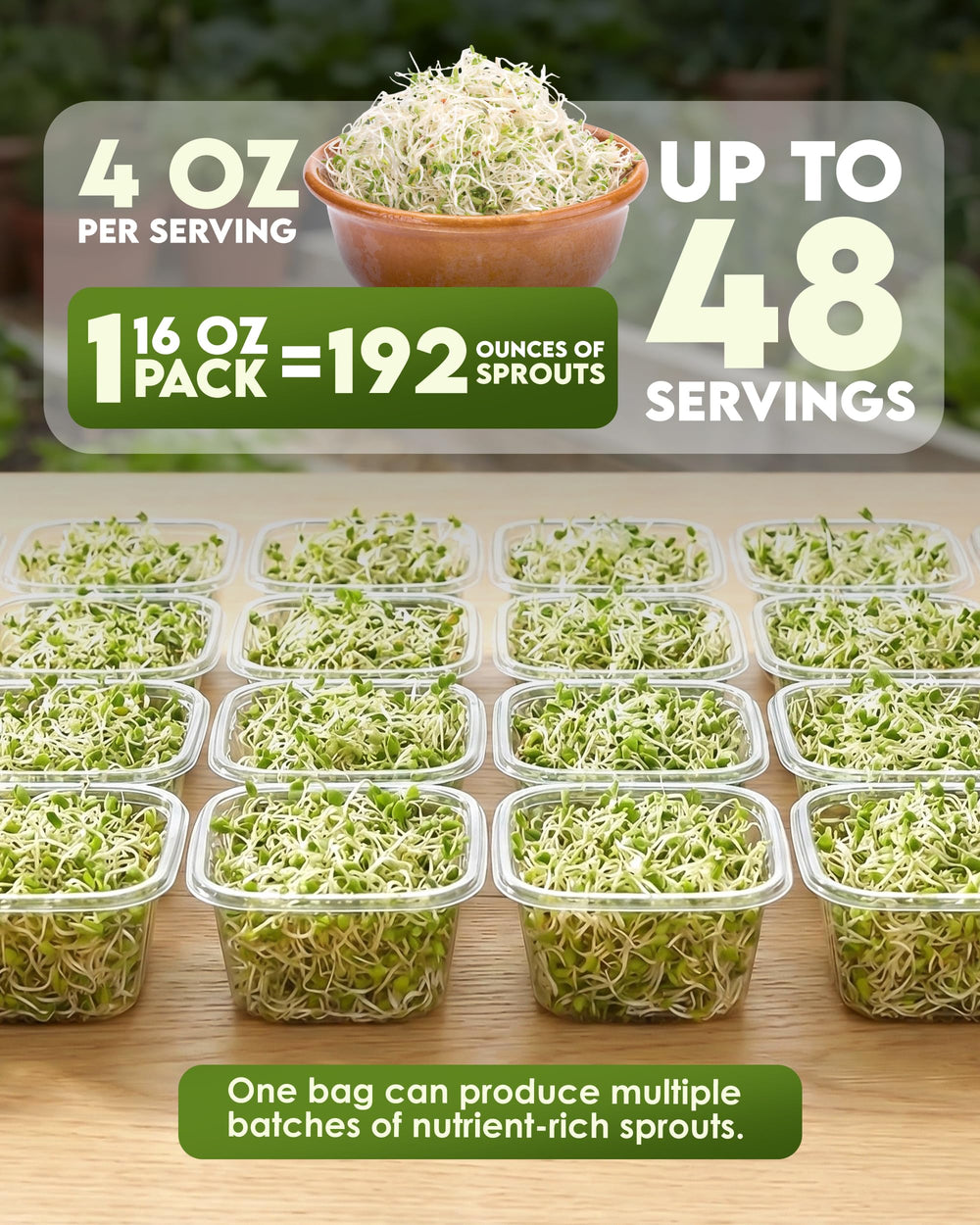 Back view of Nature Jims Organic Alfalfa Sprouting Seeds packaging