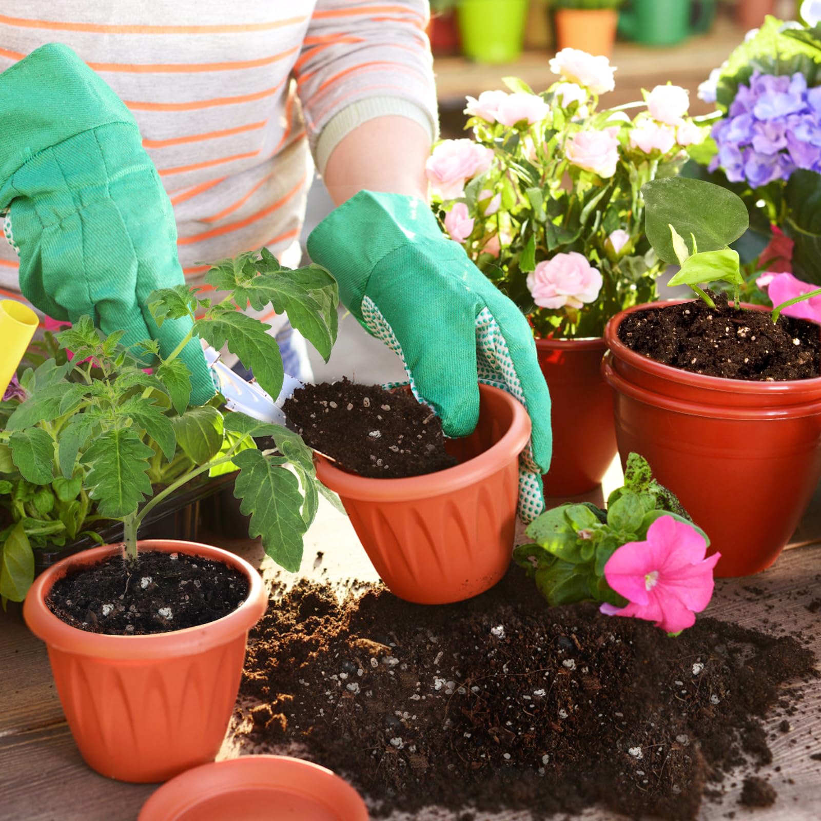 Back view of Omitgoter Horticultural Perlite package