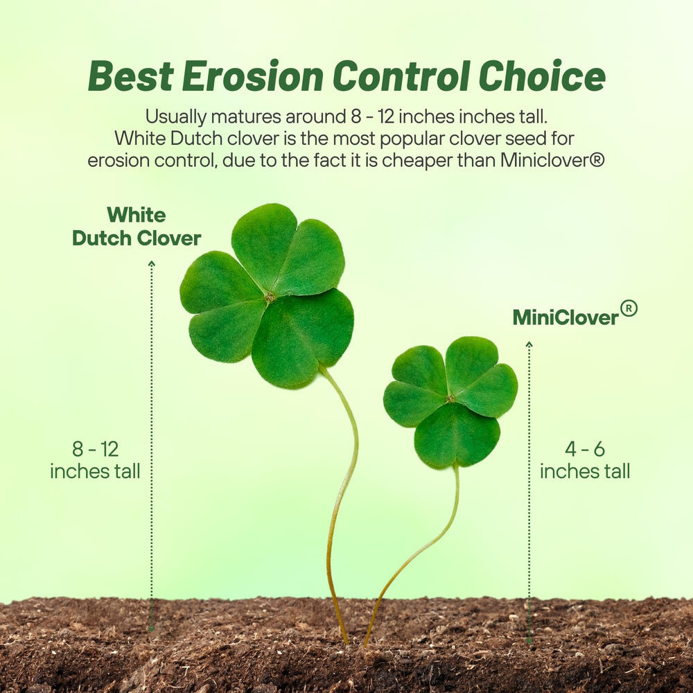Back view of Outsidepride White Clover Seed package