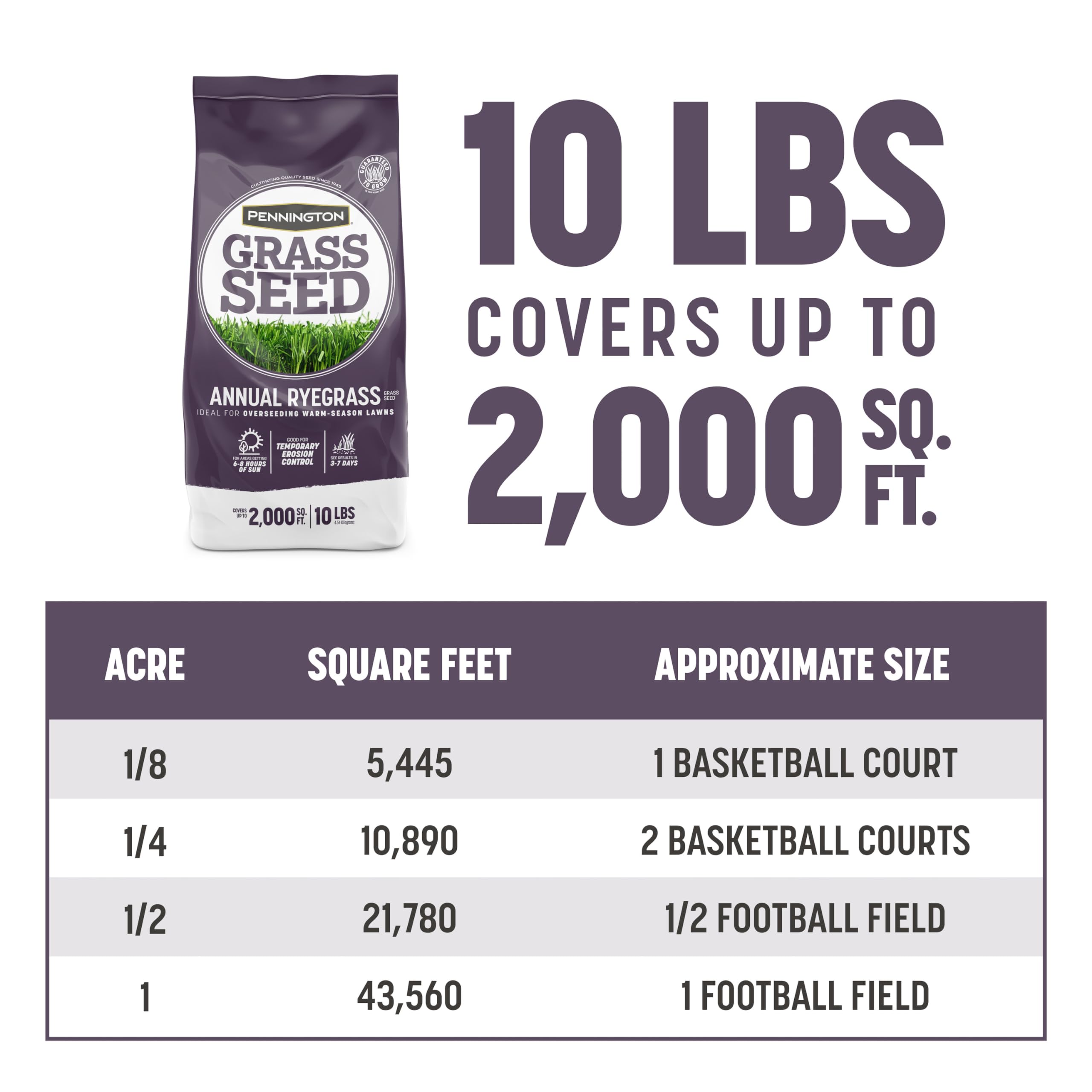 Back view of Pennington Annual Ryegrass Grass Seeds packaging