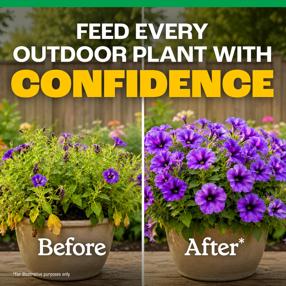 Back view of Pennington Easy-Dose Indoor Plant Food 32 oz