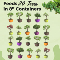 Back view of PERFECT PLANTS Bonsai Fertilizer packaging