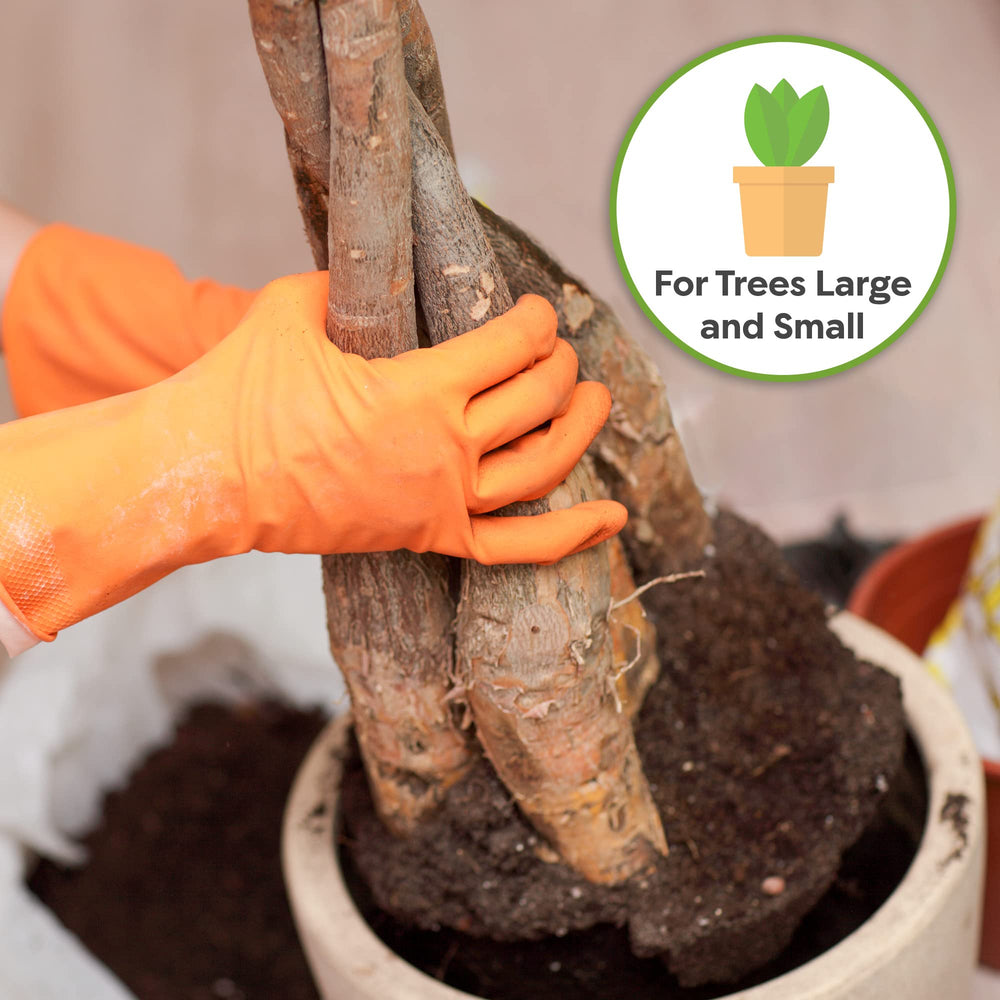 Back view of Perfect Plants Money Tree Potting Soil packaging