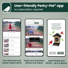 Back view of Perky-Pet bird feeder displaying feeding ports