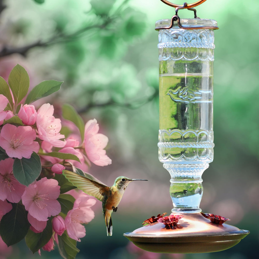 Back view of Perky-Pet Hummingbird Feeder