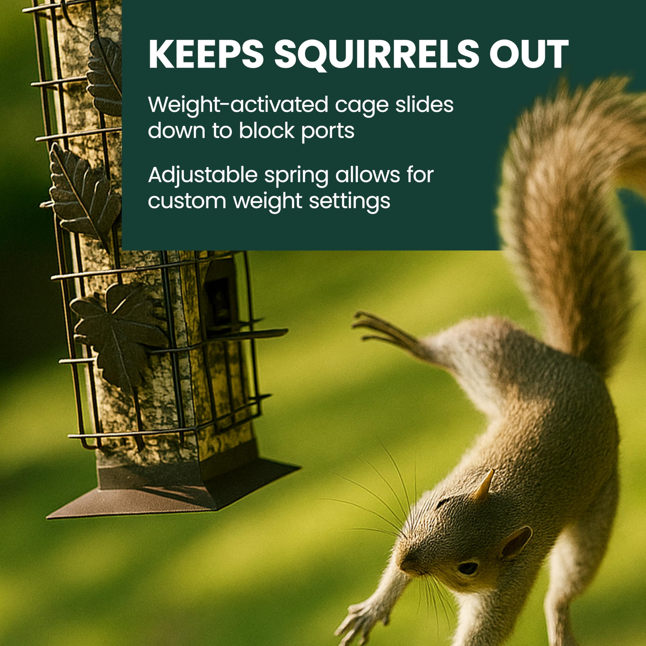 Back view of Perky-Pet Squirrel-Be-Gone Bird Feeder