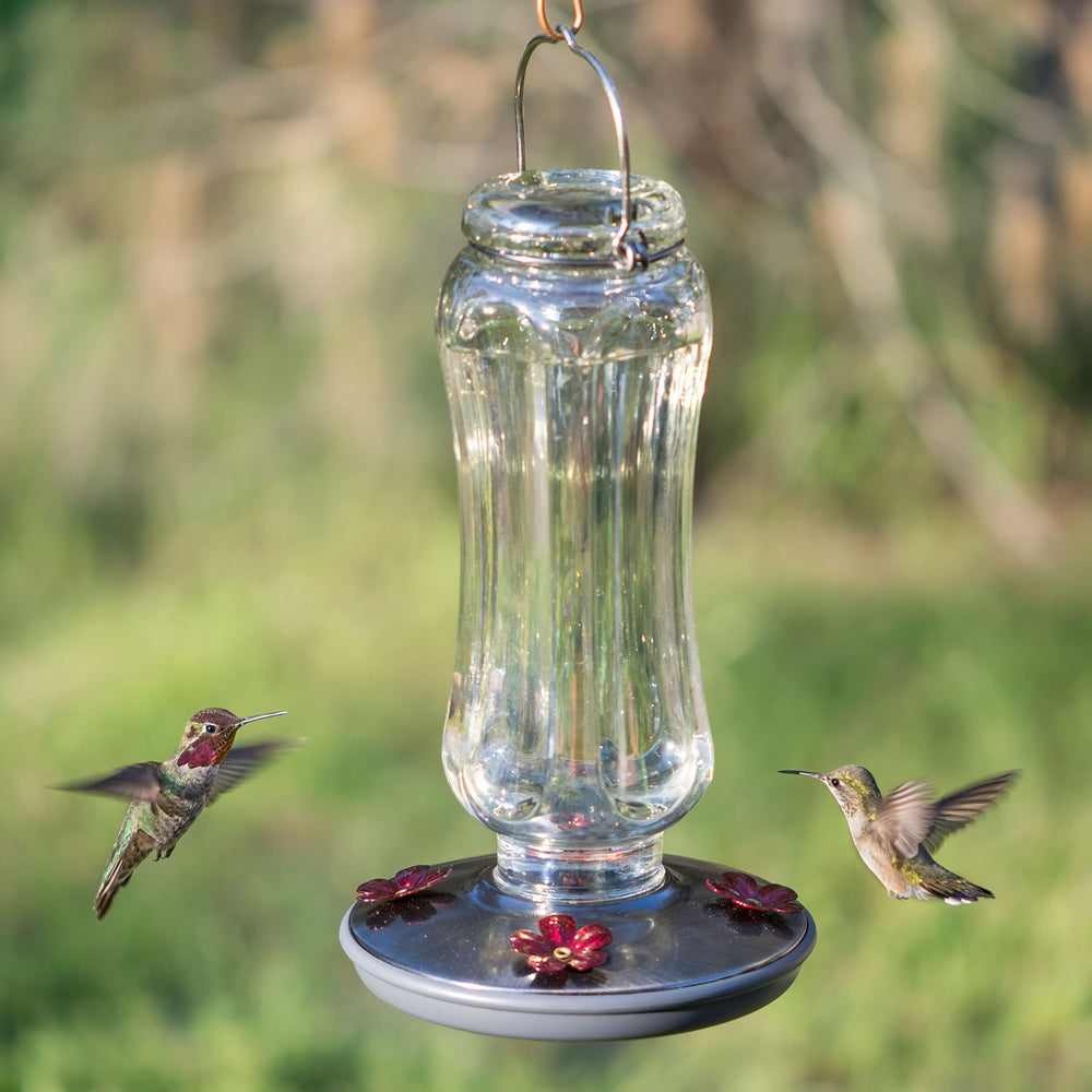 Back view of Perky-Pet Starglow Vintage Glass Hummingbird Feeder with brushed nickel lid