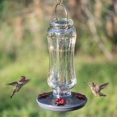 Back view of Perky-Pet Starglow Vintage Glass Hummingbird Feeder with brushed nickel lid