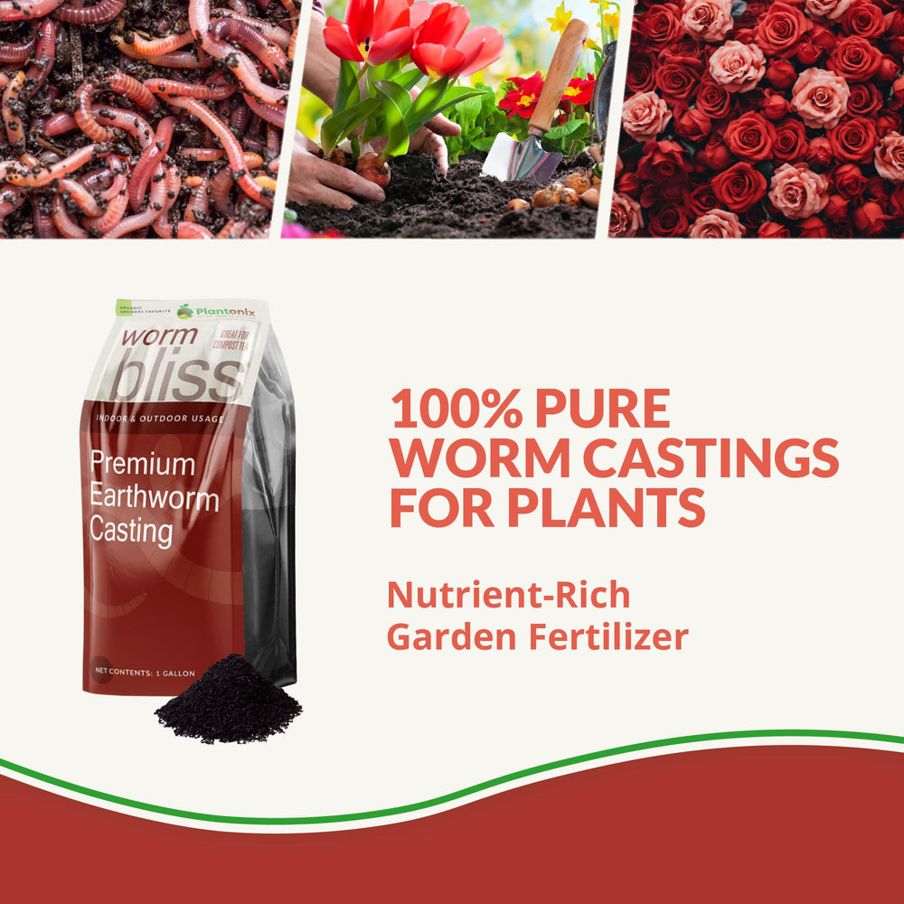 Back view of Plantonix Worm Bliss Organic Worm Castings package