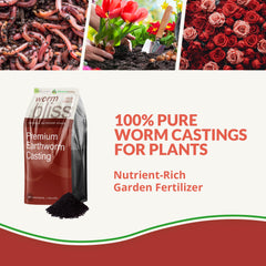 Back view of Plantonix Worm Bliss Organic Worm Castings package