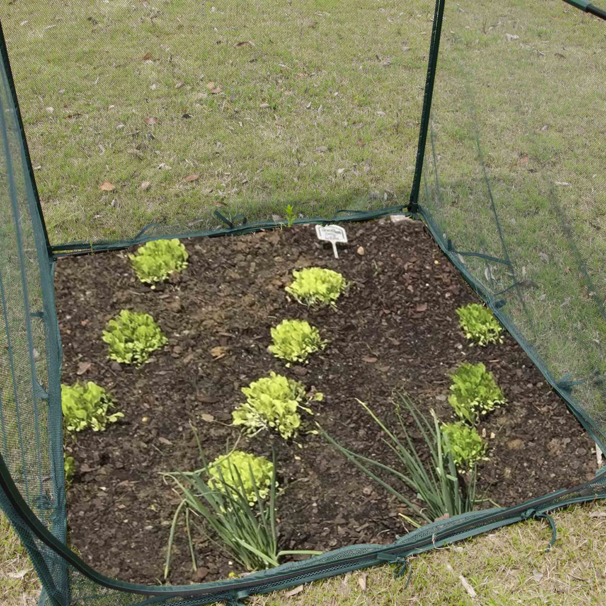 back view of porayhut 4'x4' plant netting cover in outdoor setting