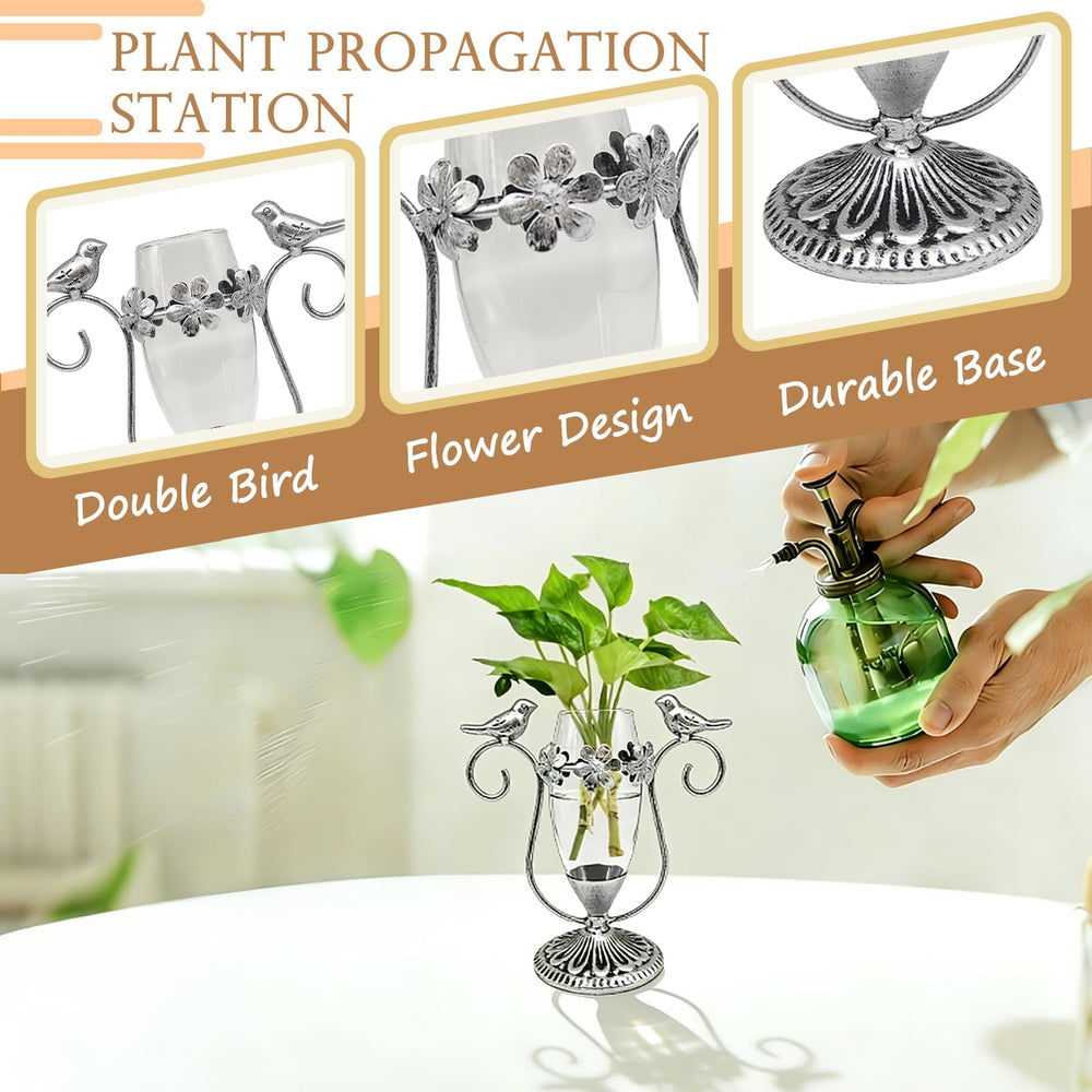 Back view of POXOHO Propagation Station highlighting the anti-slip base