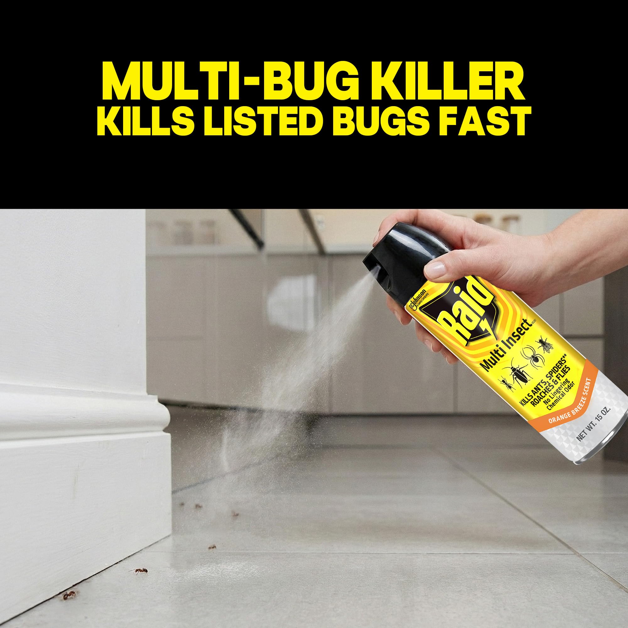Back view of Raid Multi Insect Killer 15 oz can showing safety instructions