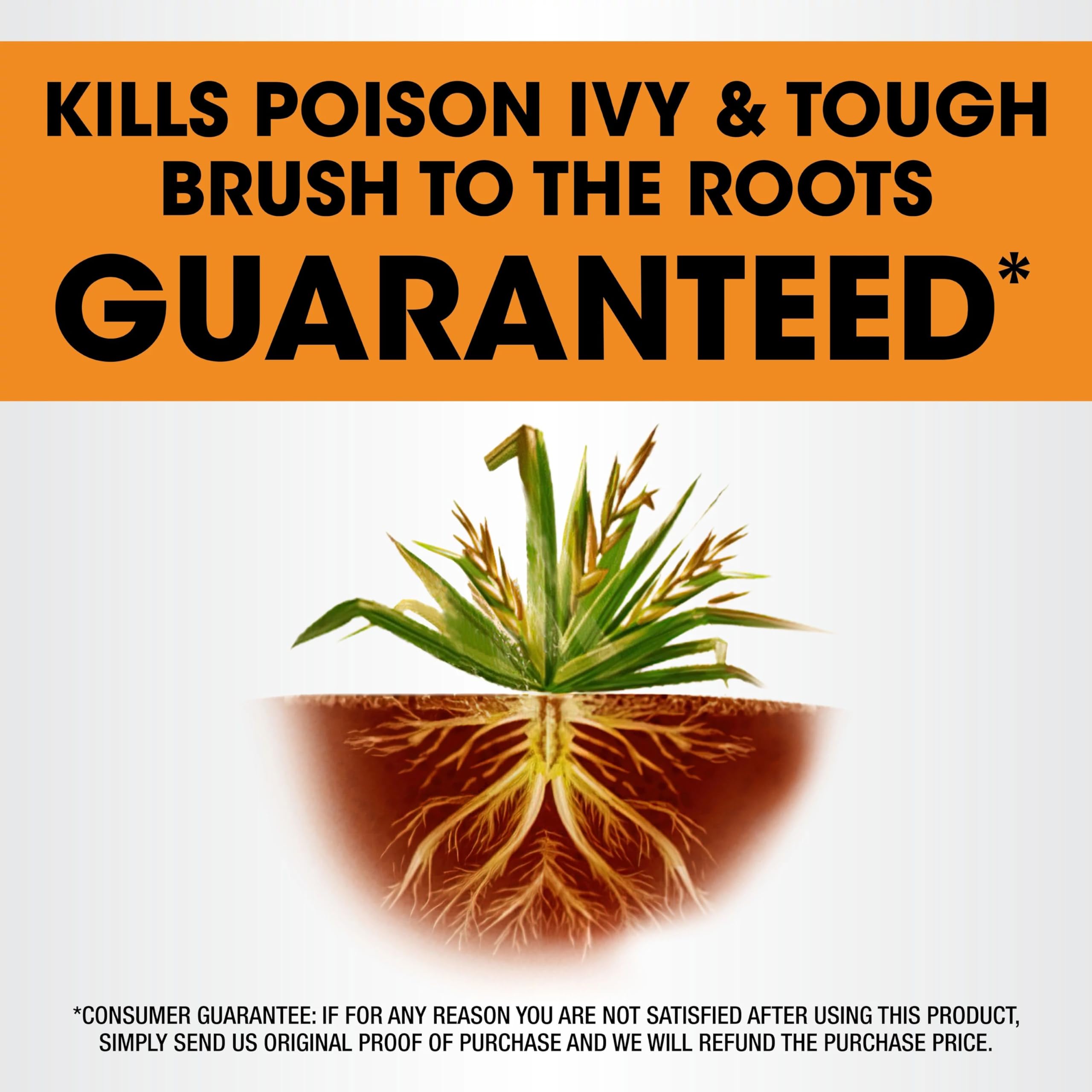 Back view of Roundup Poison Ivy Plus Tough Brush Killer 2 bottle
