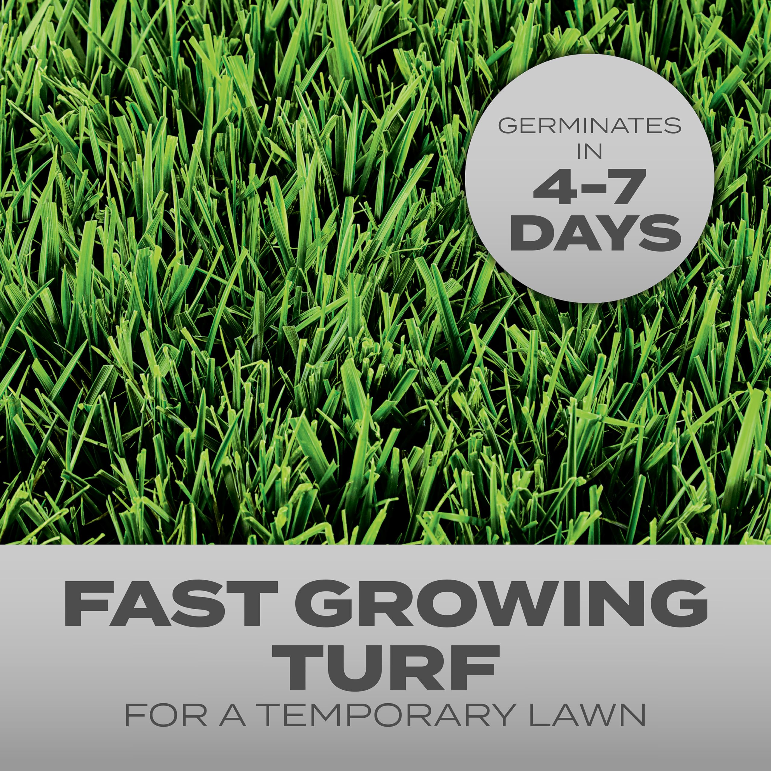 Back view of Scotts Turf Builder Grass Seed Quick Fix Mix packaging