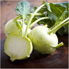 Back view of Seed Needs Kohlrabi Seeds packet showing sowing information