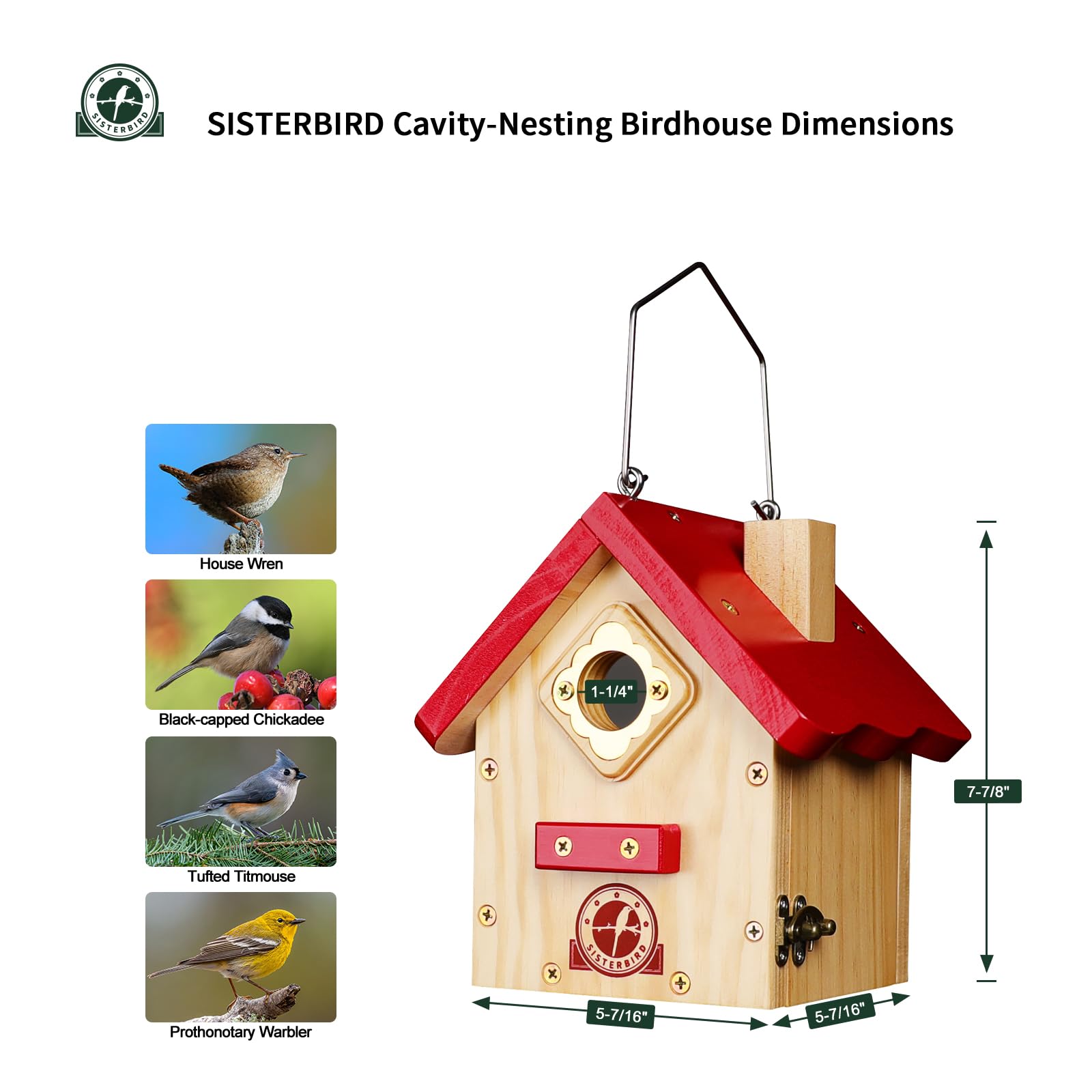 Back view of SISTERBIRD Wren Bird House with hanging hook