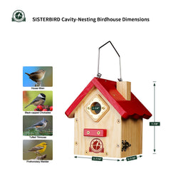 Back view of SISTERBIRD Wren Bird House with hanging hook