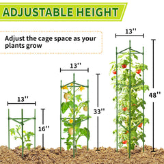 Back view of SORANGEUN tomato cage showing triangular structure