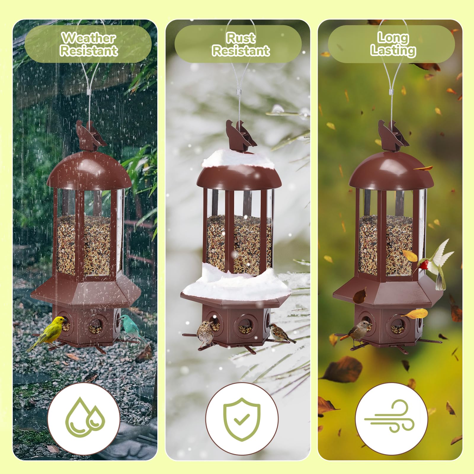 Back view of Sorflife squirrel proof bird feeder
