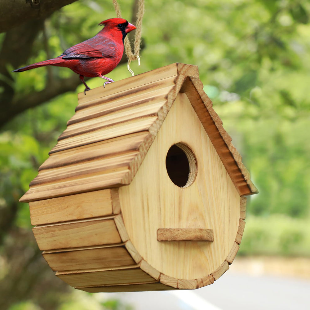Back view of STARSWR birdhouse showing access door
