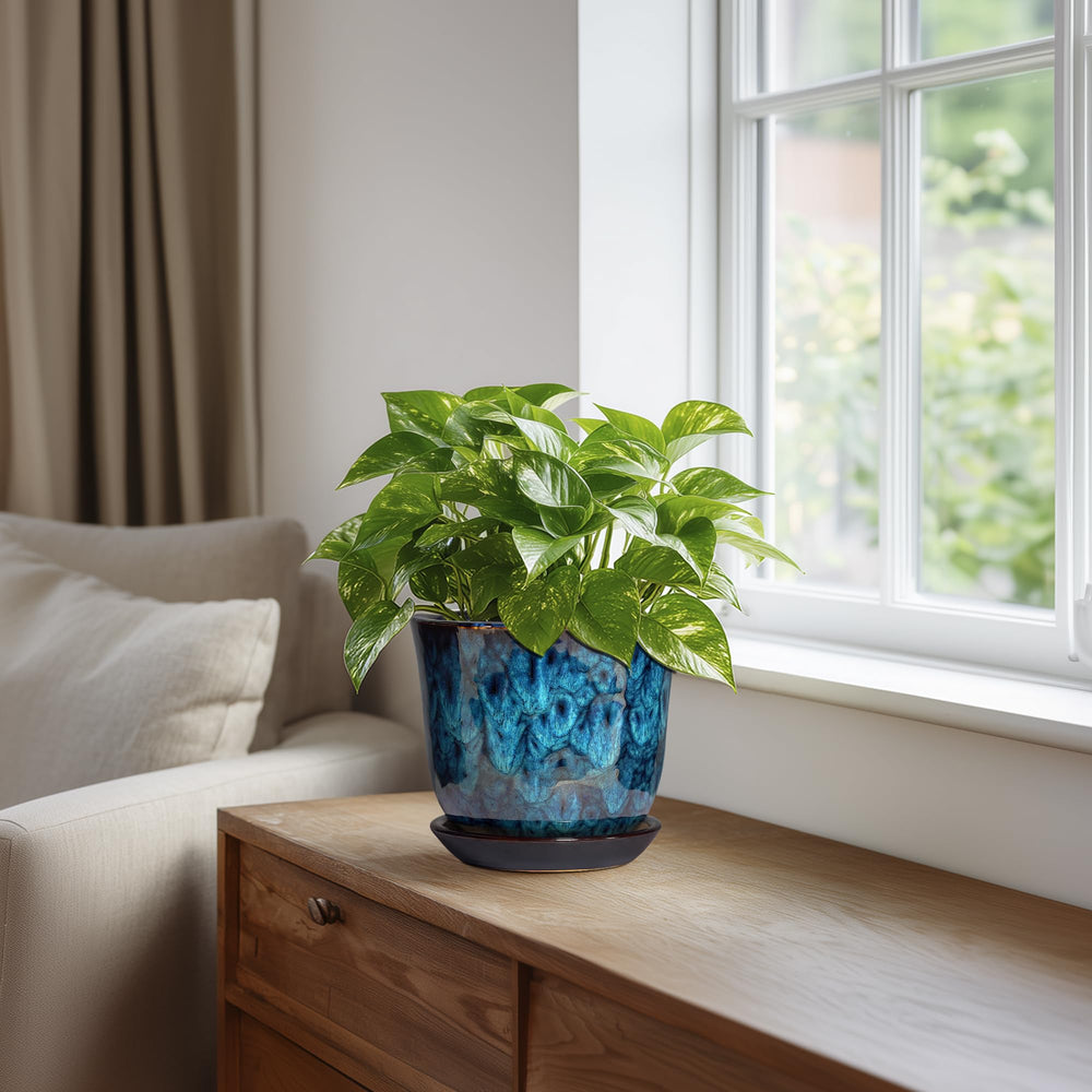 Back view of SUNPOTFOR 5.6 Inch Ceramic Plant Pot