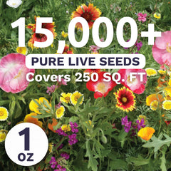 Back view of SWEET YARDS wildflower seeds with planting instructions