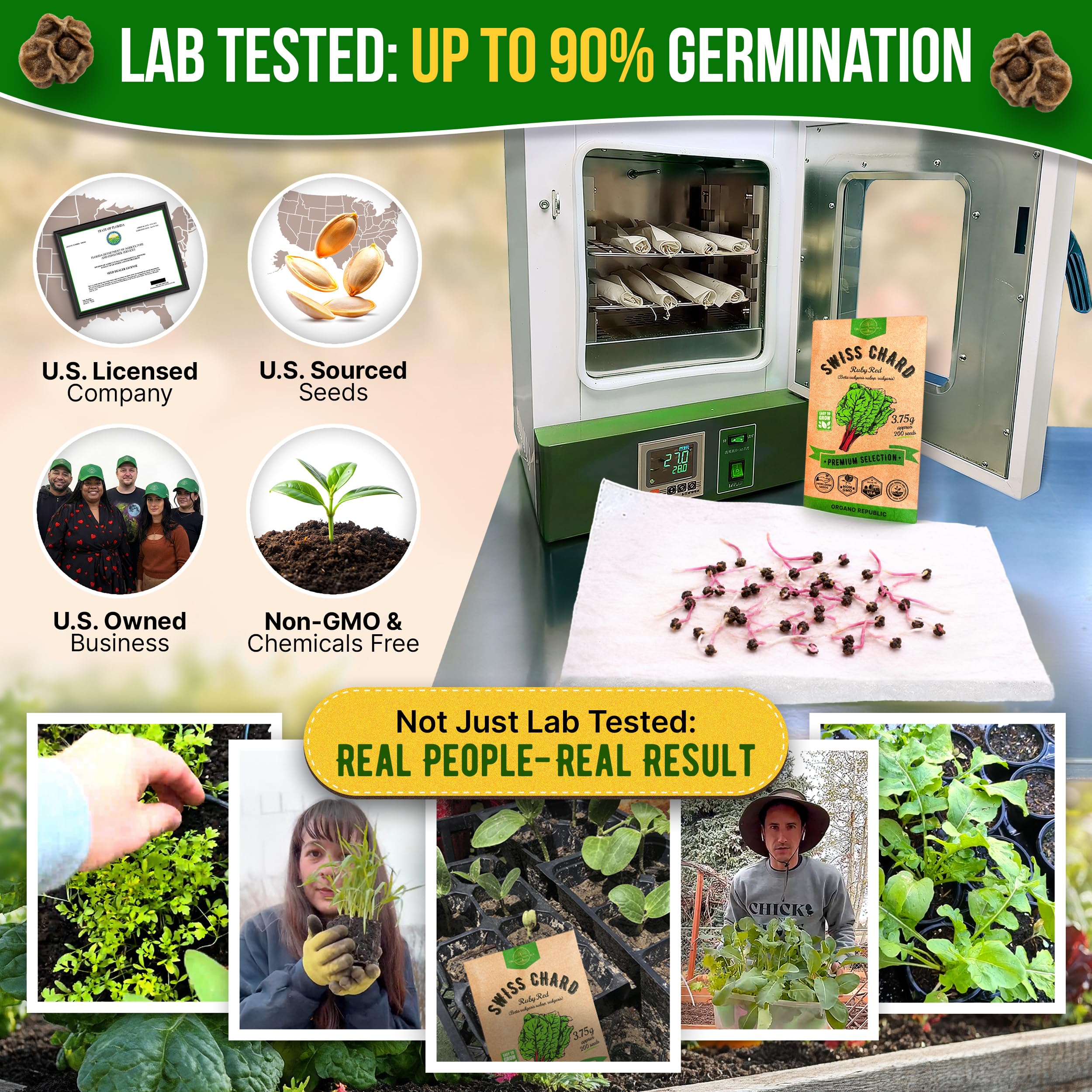 Back view of Swiss Chard seeds pack showing planting instructions