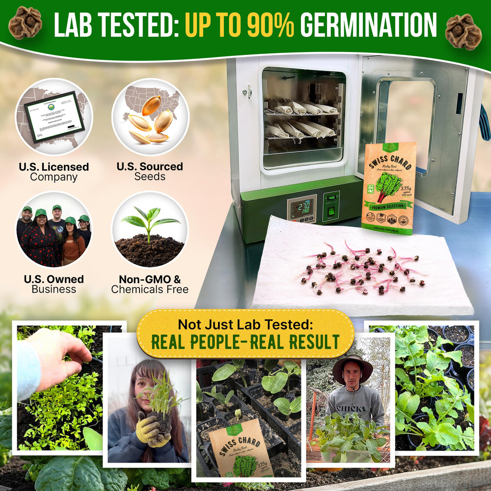 Back view of Swiss Chard seeds pack showing planting instructions