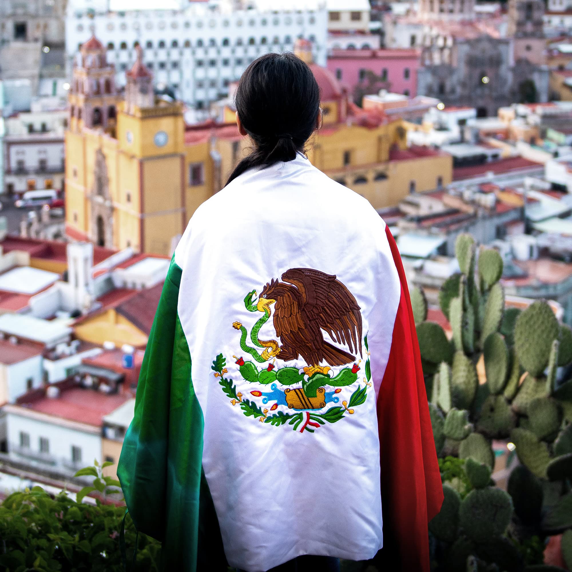 Back view of the Anley 3x5 Ft Mexico Flag
