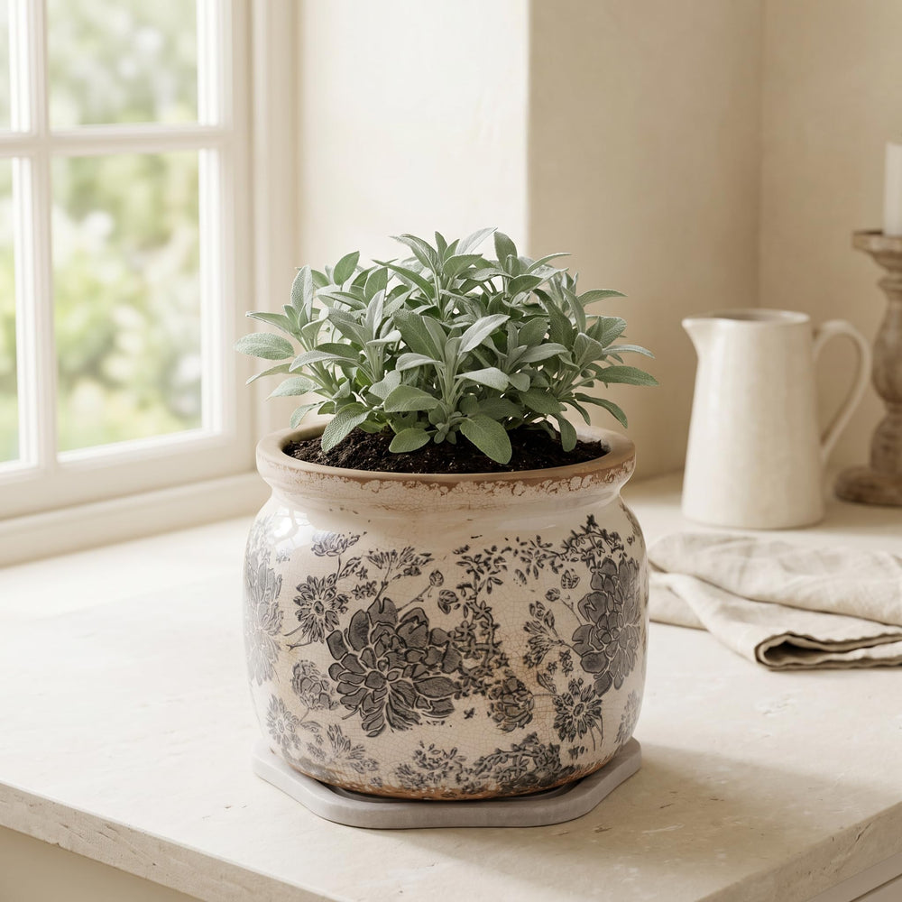 Back view of the ceramic planter highlighting the drainage hole