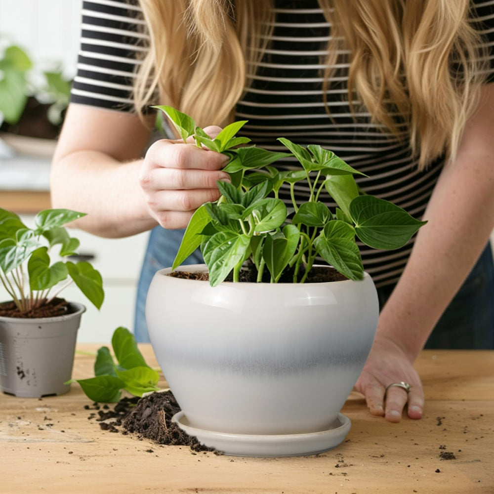 Back view of the Ceramicfor Planter Pot with drainage net
