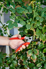 Back view of the Corona BP 4250 Bypass Pruner with safety lock