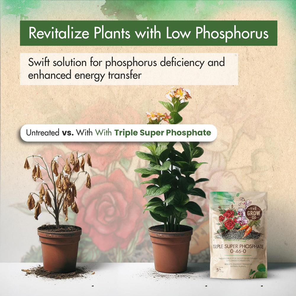 Back view of The Grow Co Triple Super Phosphate fertilizer bag