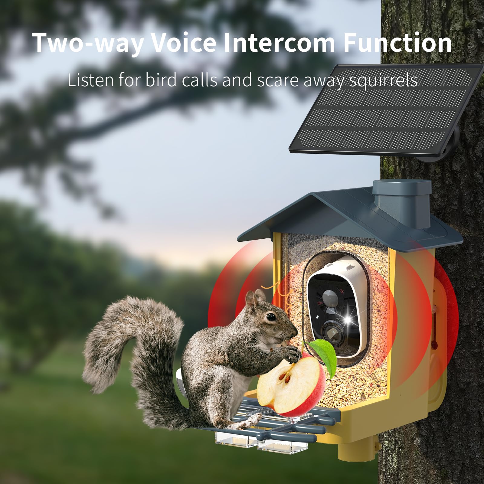 Back view of the oddkont Bird Feeder with mounting instructions