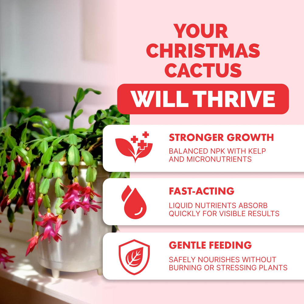 Back view of TPS NUTRIENTS Christmas Cactus Fertilizer 8 oz bottle
