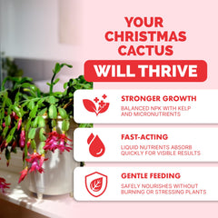 Back view of TPS NUTRIENTS Christmas Cactus Fertilizer 8 oz bottle